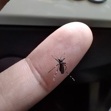 [NON PUBBLICARE]Recensione Realme 7 Pro, il tutto fare al giusto prezzo: la ricarica rapida è un sogno