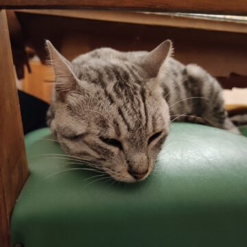 [NON PUBBLICARE]Recensione Realme 7 Pro, il tutto fare al giusto prezzo: la ricarica rapida è un sogno