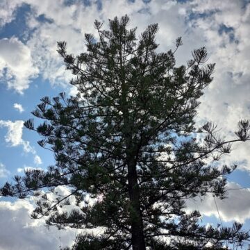 Recensione Realme 7, un buon gaming phone super low cost