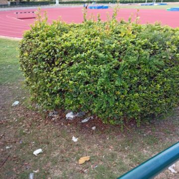 Recensione Realme 7, un buon gaming phone super low cost