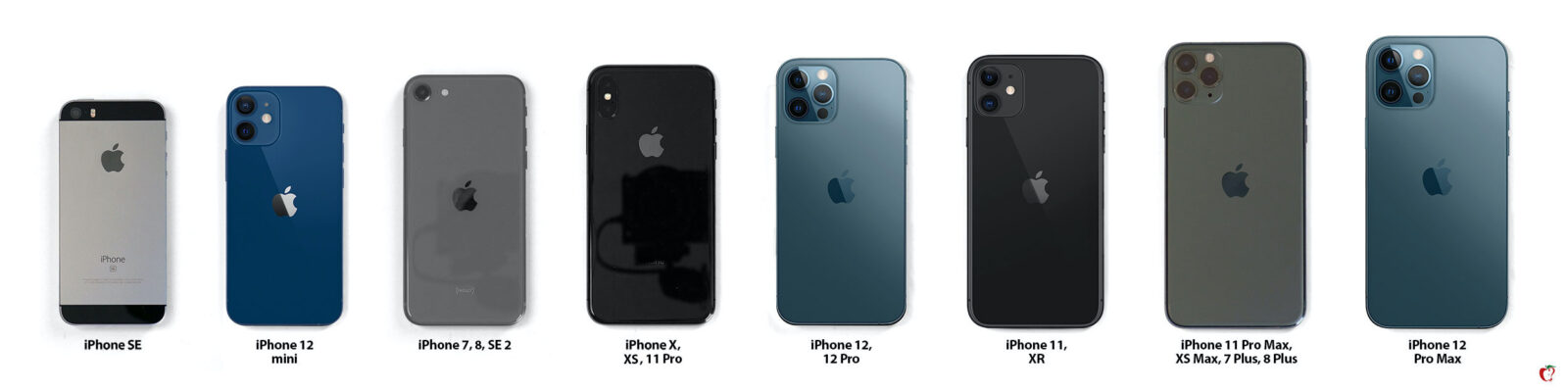 iPhone 12 dimensioni, tutti i modelli a confronto per scegliere