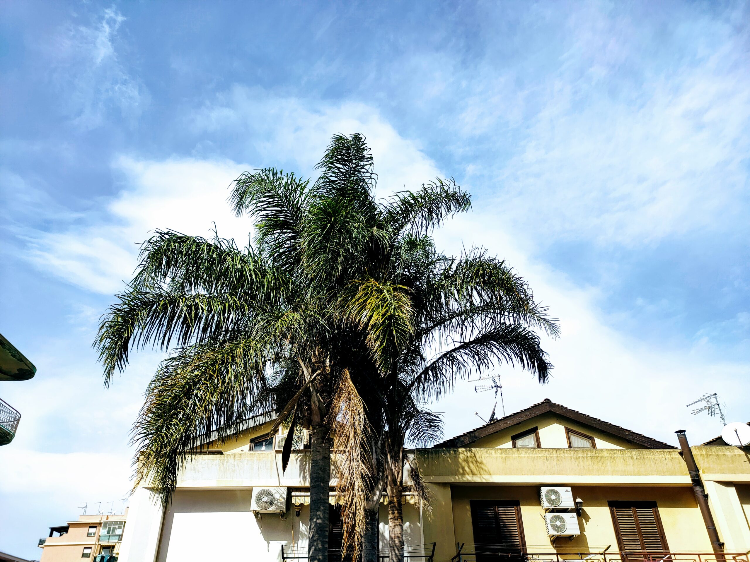 [NON PUBBLICARE]Recensione Realme 7 Pro, il tutto fare al giusto prezzo: la ricarica rapida è un sogno