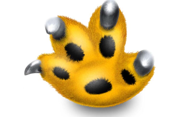 Termina lo sviluppo di Growl, lo storico sistema di notifiche per macOS