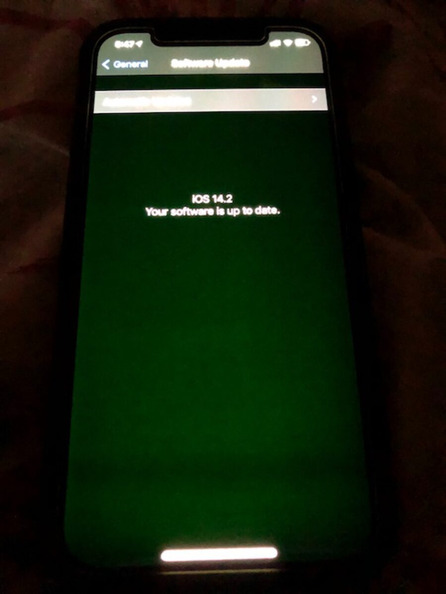 iPhone 12, Apple indaga sul problema di alcuni display che mostrano bagliori grigi o verdi