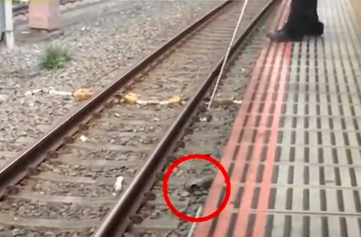 In Giappone un aspiratore per recuperare gli AirPods nella metropolitana di Tokyo