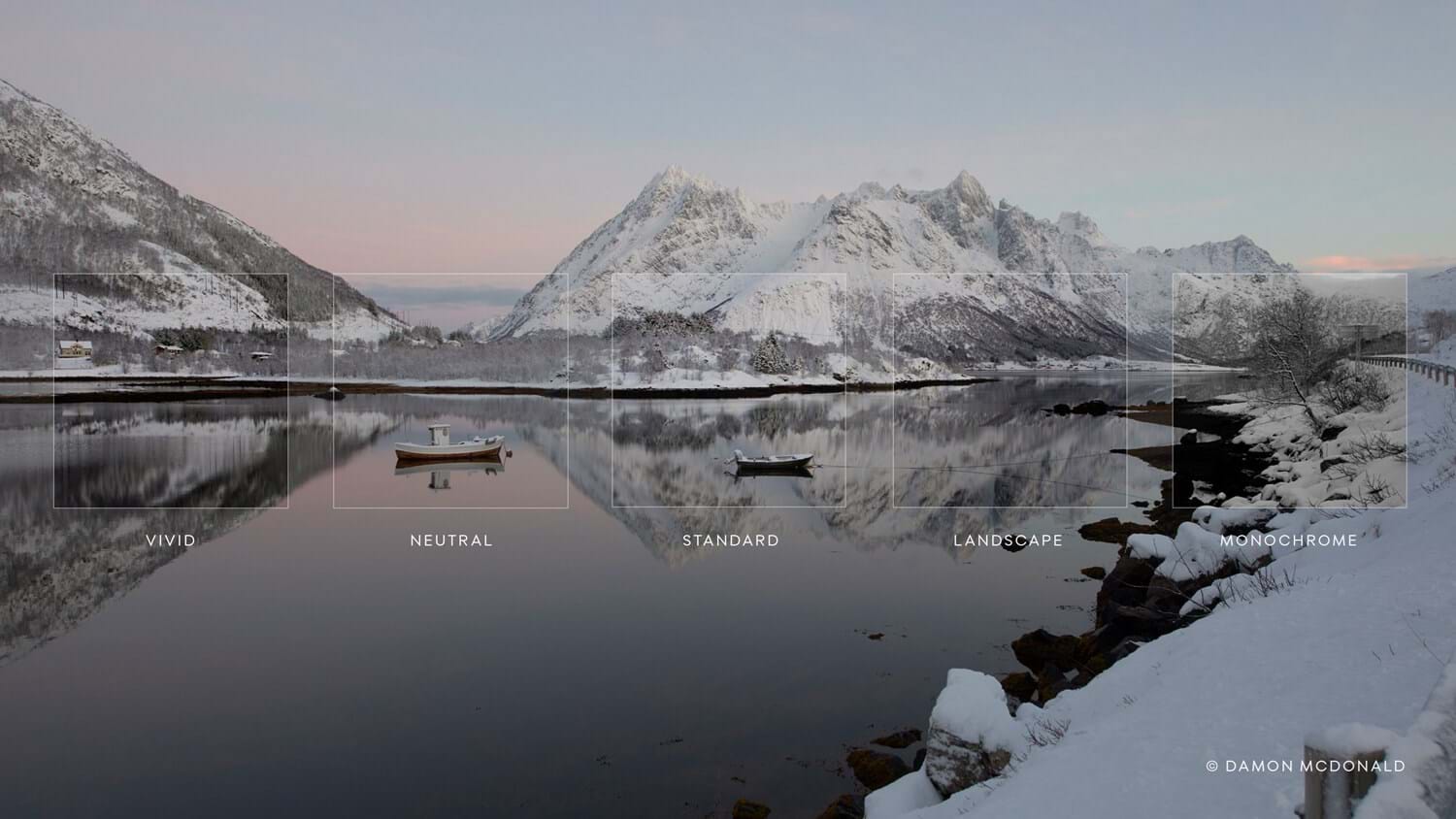 Disponibile il software di fotoritocco Capture One 21 per Mac e PC Disponibile il software di fotoritocco Capture One 21 per Mac e PC