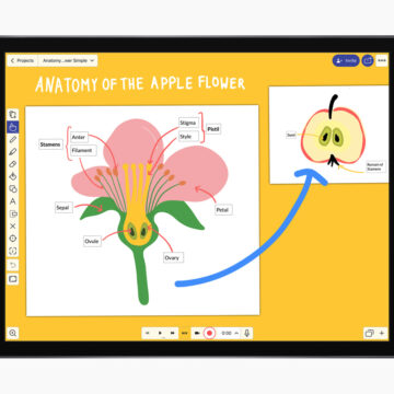 Apple presenta i vincitori del Best of 2020 dell’App Store