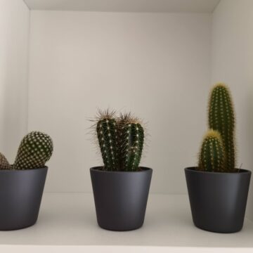 Recensione Huawei Mate 40 Pro