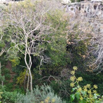 Recensione POCO M3, costa poco ma dura tantissimo