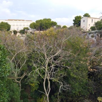 Recensione POCO M3, costa poco ma dura tantissimo