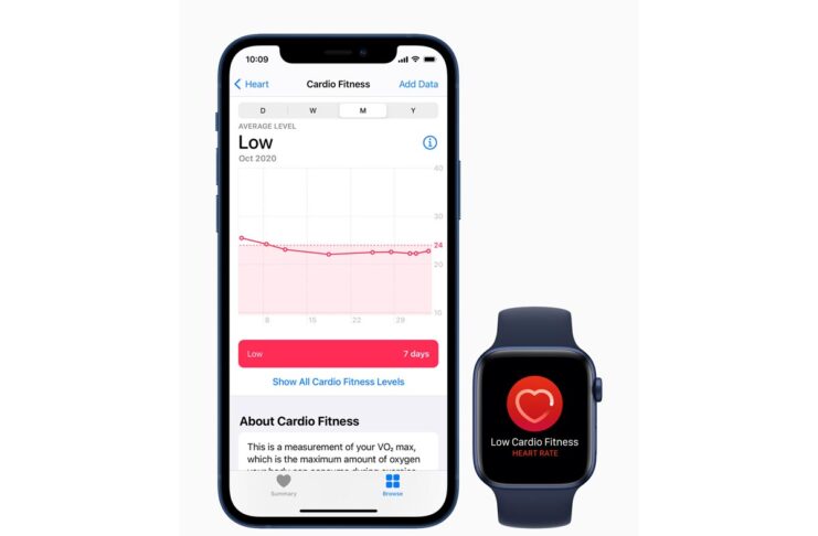 Notifiche sul tono cardiovascolare: ora disponibili su Apple Watch