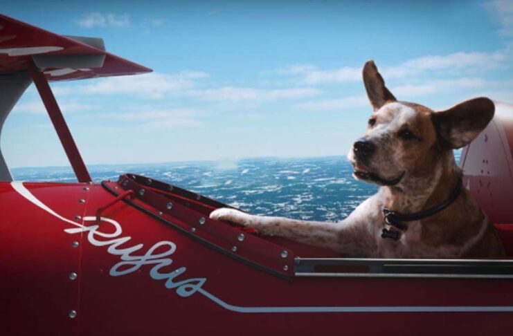 A Natale anche il cane ha diritto di sognare nella pubblicità Microsoft