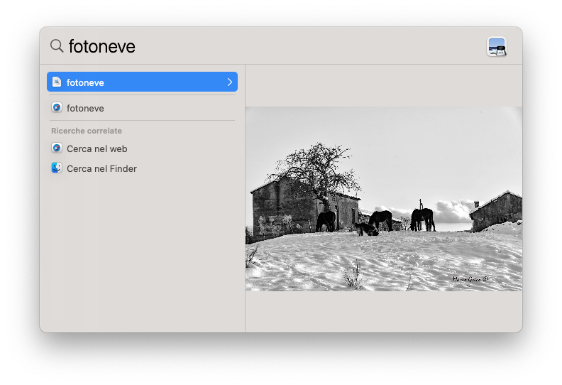 macOS Big Sur, come ottenere l’anteprima delle immagini in Spotlight