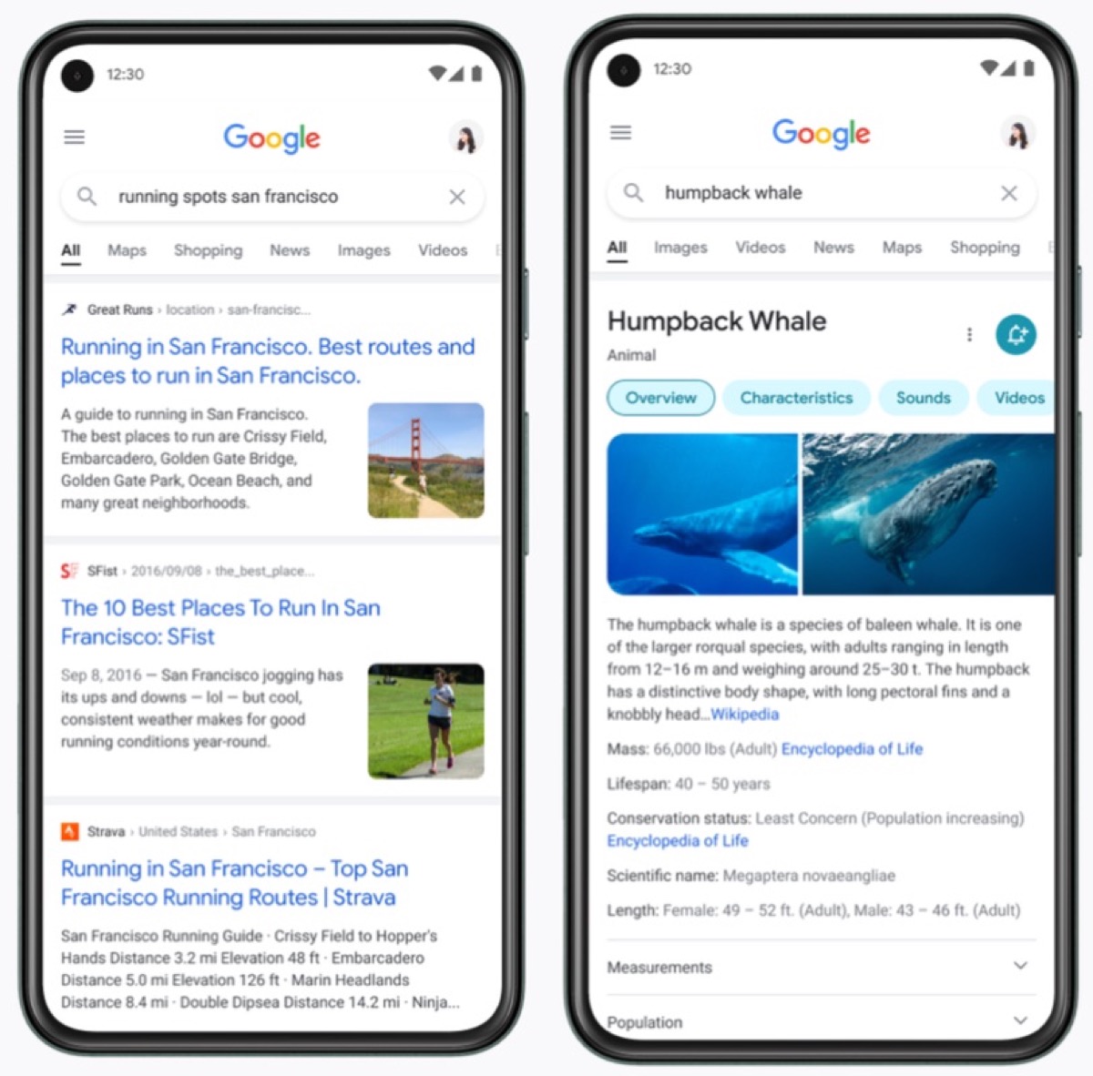 google riprogetta ricerche su mobile