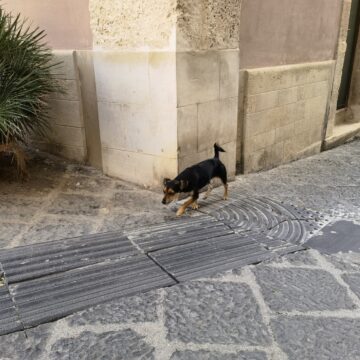 Recensione Huawei Mate 40 Pro