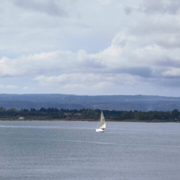 Recensione Huawei Mate 40 Pro