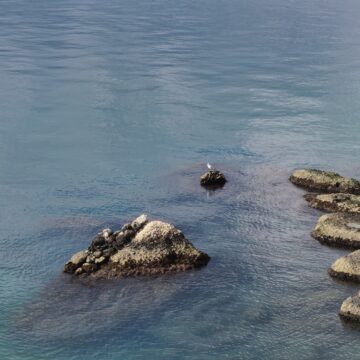 Recensione Huawei Mate 40 Pro