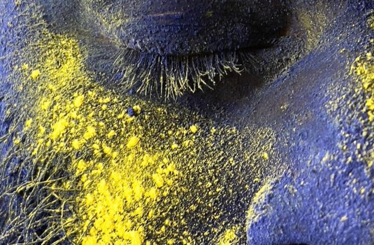 Le immagini della Festa dei Colori scattate con iPhone