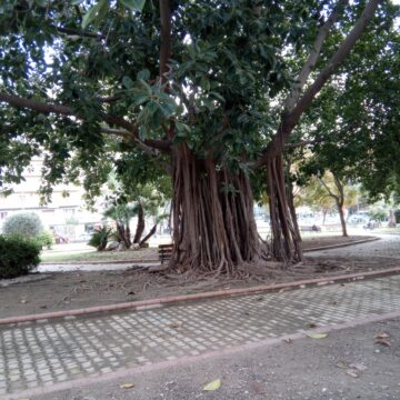 Recensione F150, lo smartphone rugged super economico