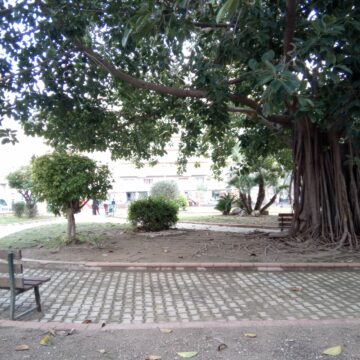 Recensione F150, lo smartphone rugged super economico