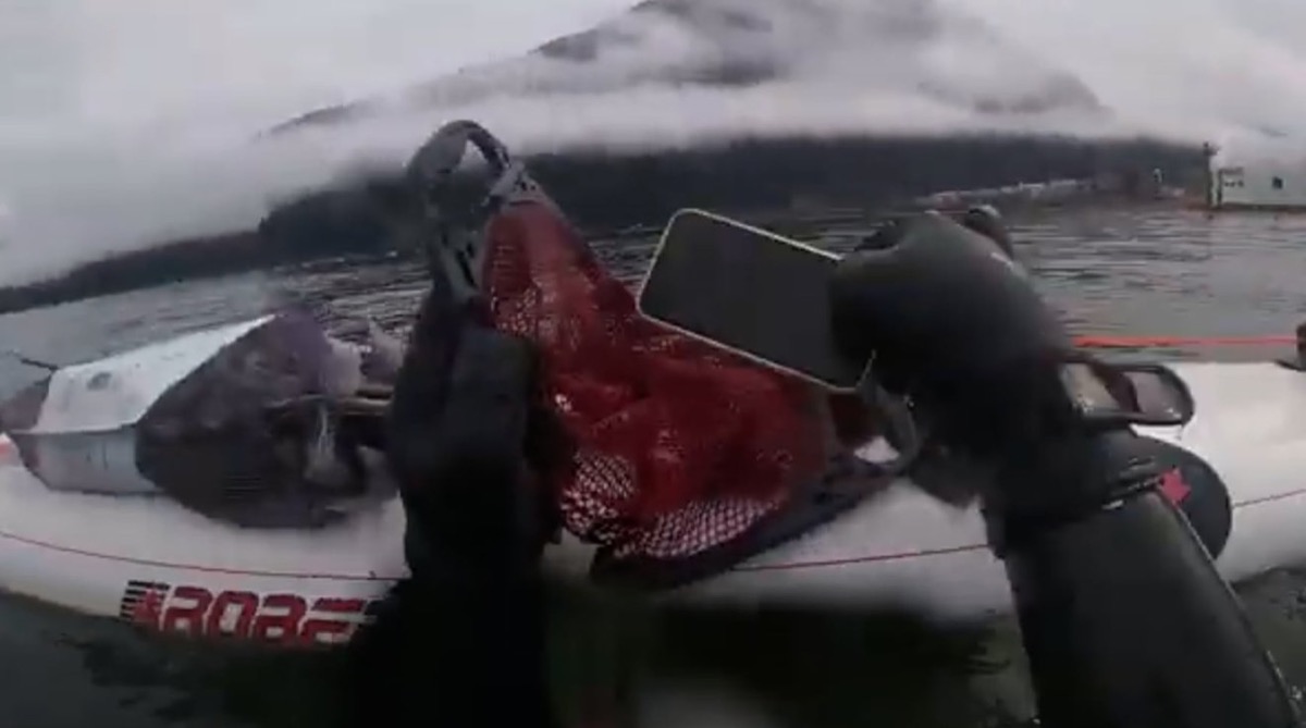 iPhone 11 sopravvive 6 mesi in un lago