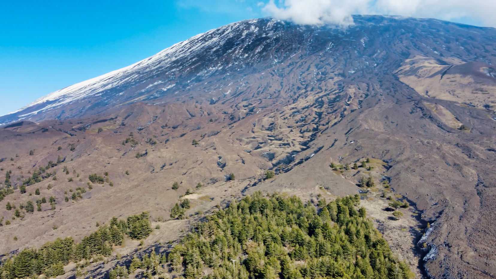 Recensione DJI Mini 2: piccolo, leggero e per tutti