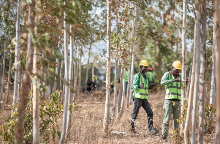 Apple investe sulle foreste: lancia il Restore Fund per 200milioni di dollari(foto Apple)