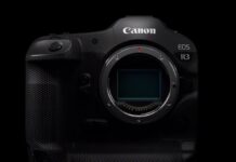 Canon prepara a EOS R3: la mirrorless professionale ultra-reattiva
