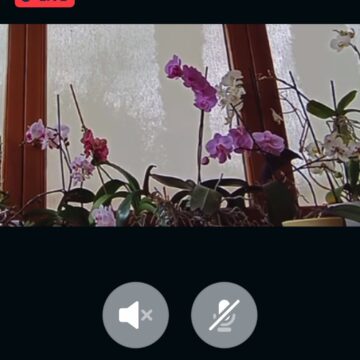 Unboxing e prime impressioni Amazon Alexa Echo Show terza generazione da 10″