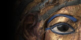 Le scuole al Museo Egizio con un’esperienza digitale a misura di studente