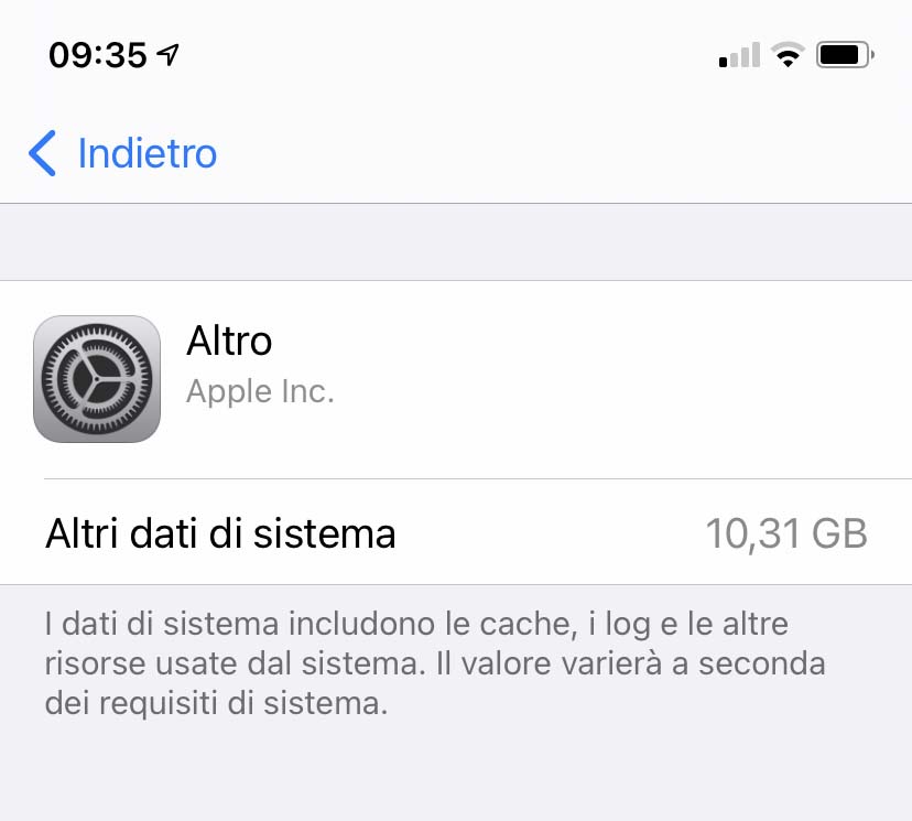 Che cos’è “Altro” nelle indicazioni dello spazio occupato da iPhone?