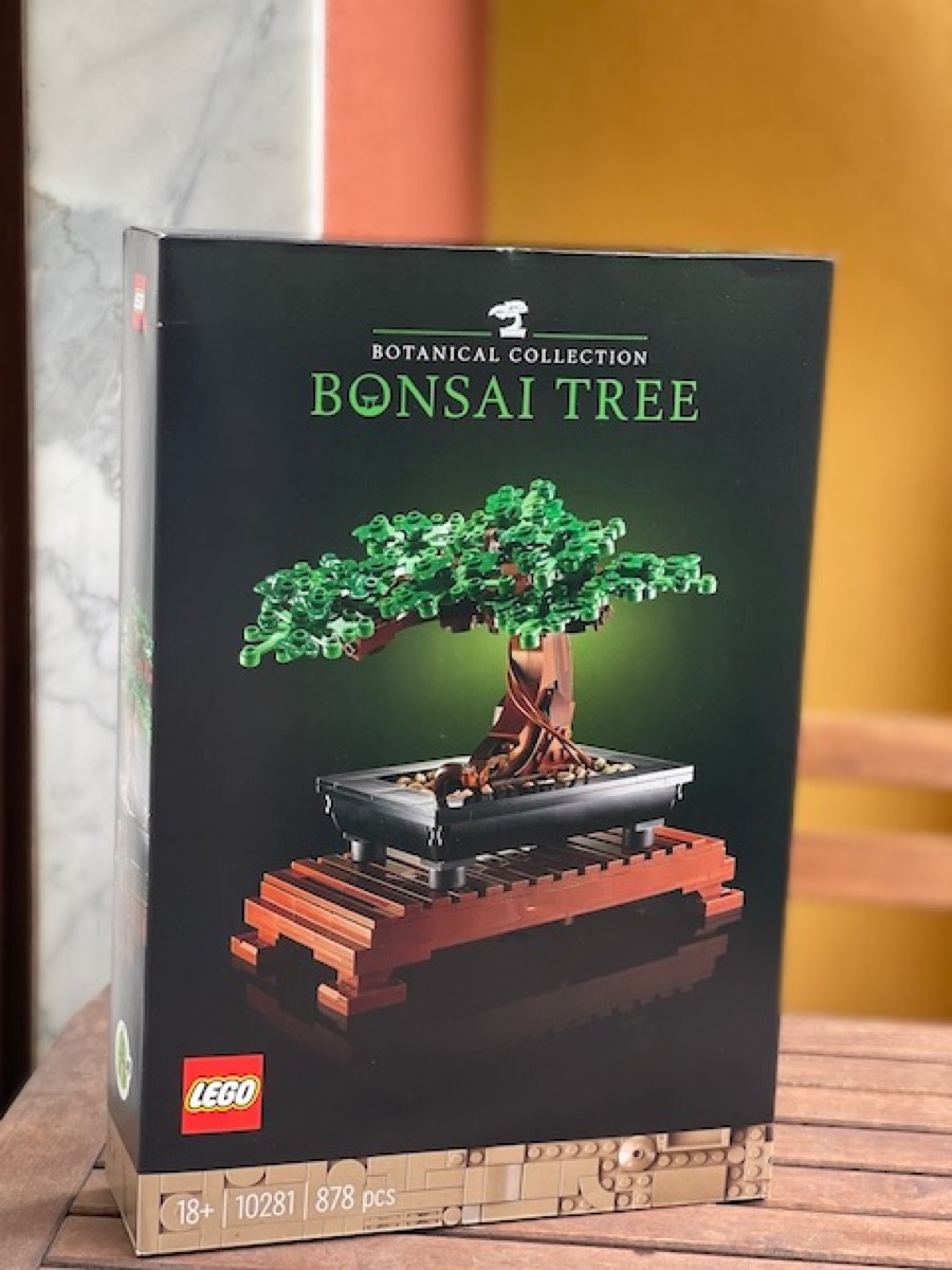 Una storia di Lego, bonsai e pandemia