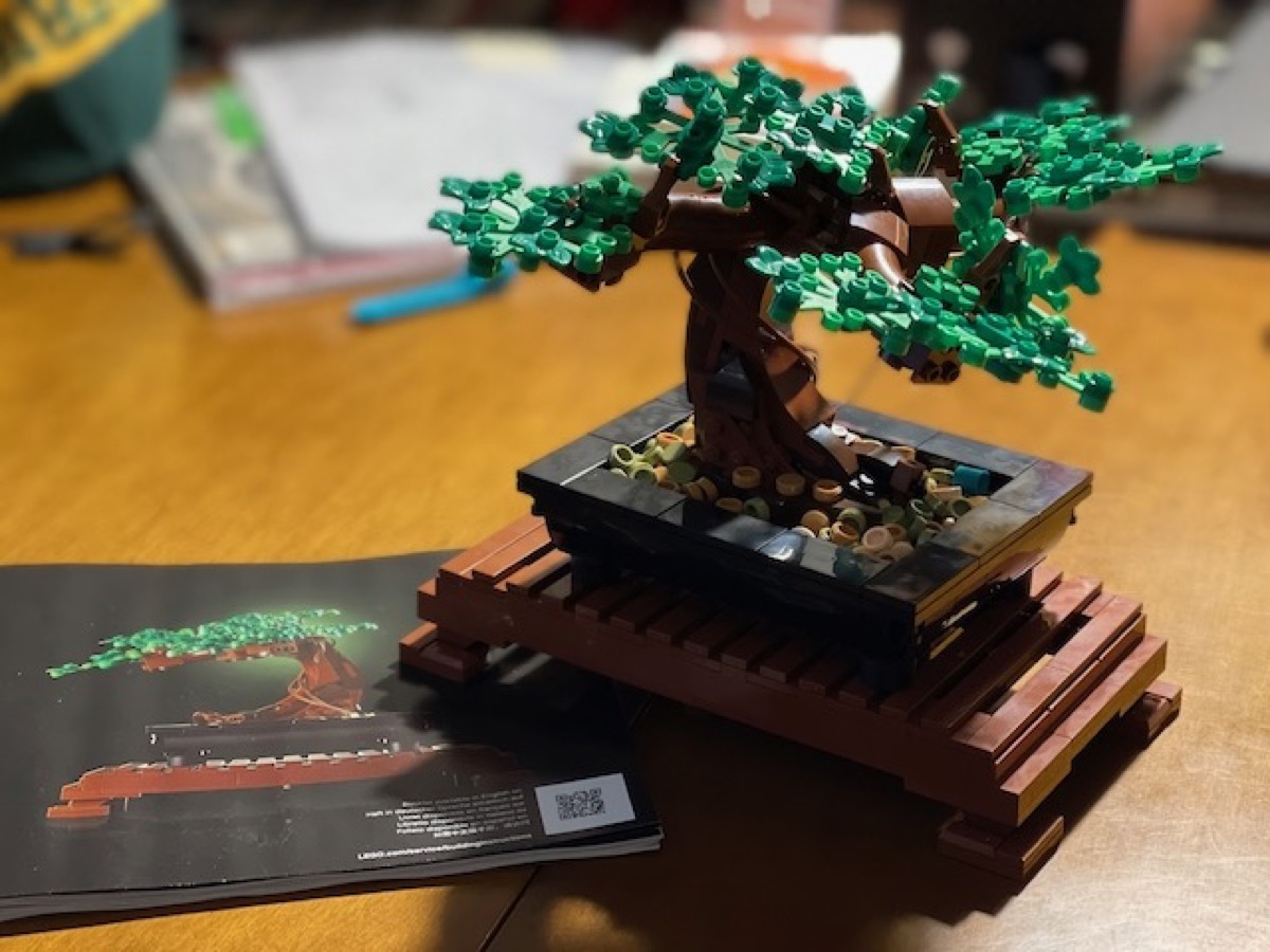 Una storia di Lego, bonsai e pandemia