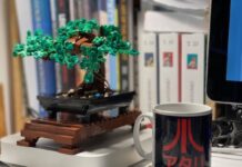 Una storia di Lego, bonsai e pandemia Una storia di Lego, bonsai e pandemia