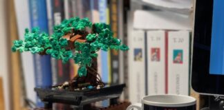 Una storia di Lego, bonsai e pandemia