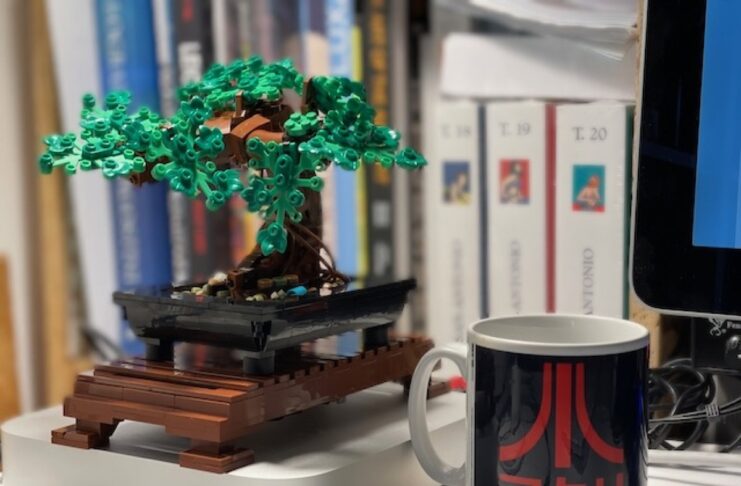 Una storia di Lego, bonsai e pandemia