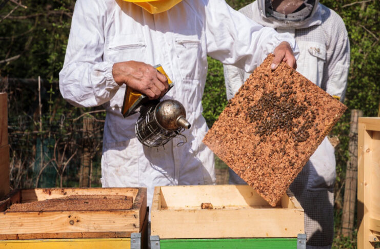 Dyson porta 200 mila api nel cuore di Milano