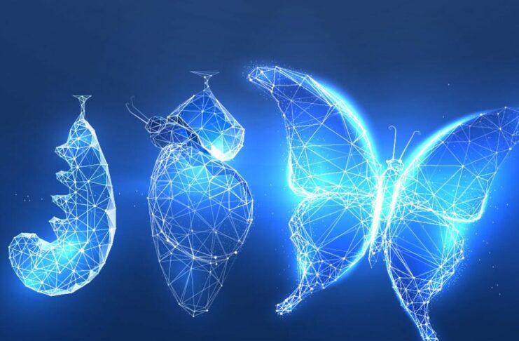 Sostenibilità digitale: il 60% degli italiani sembra impreparato