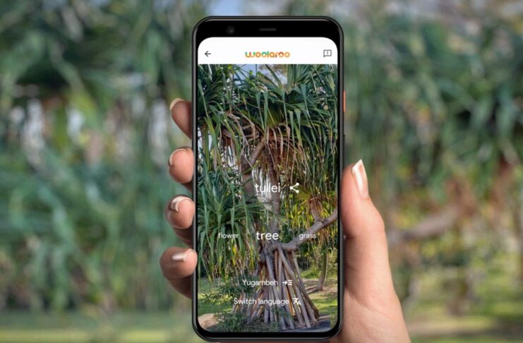 Woolaroo è un tool di Google per preservare lingue che stanno scomparendo