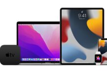 Apple ha rilasciato la Public beta di iOS 15 e iPadOS 15