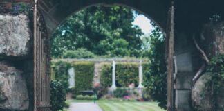 Apple, tra giardino chiuso e parco a tema