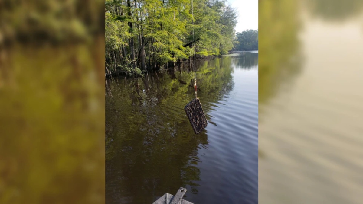 iPhone abbocca all’amo, disperso in acqua da 8 mesi