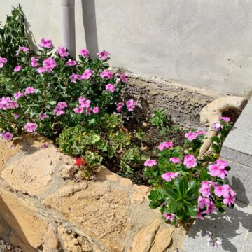 Recensione ASUS Zenfone 8 Flip