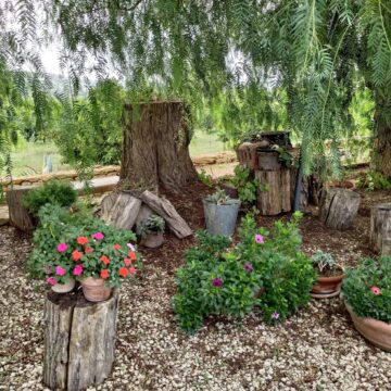 Recensione ASUS Zenfone 8 Flip