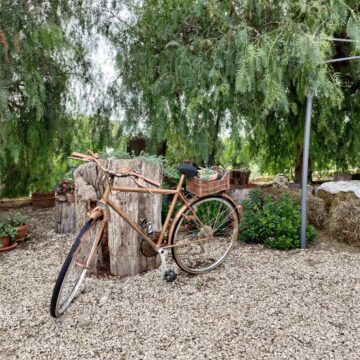 Recensione ASUS Zenfone 8 Flip