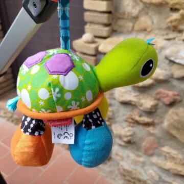 Recensione ASUS Zenfone 8 Flip