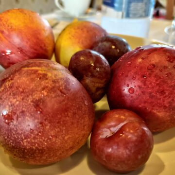 Recensione ASUS Zenfone 8 Flip