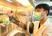 Scoperto nuovo meccanismo di carica e stoccaggio per le batterie calcio-aria Scoperto nuovo meccanismo di carica e stoccaggio per le batterie calcio-aria