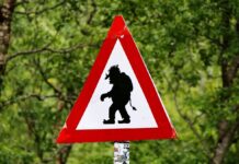 Apple deve pagare 300 milioni di dollari per brevetti LTE