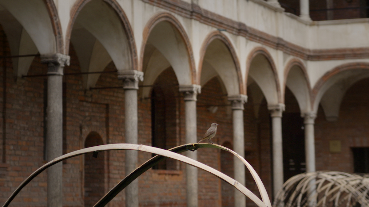 Sinfonia di luci e forme alla Milano Design Week con Bamboo Ring di Oppo